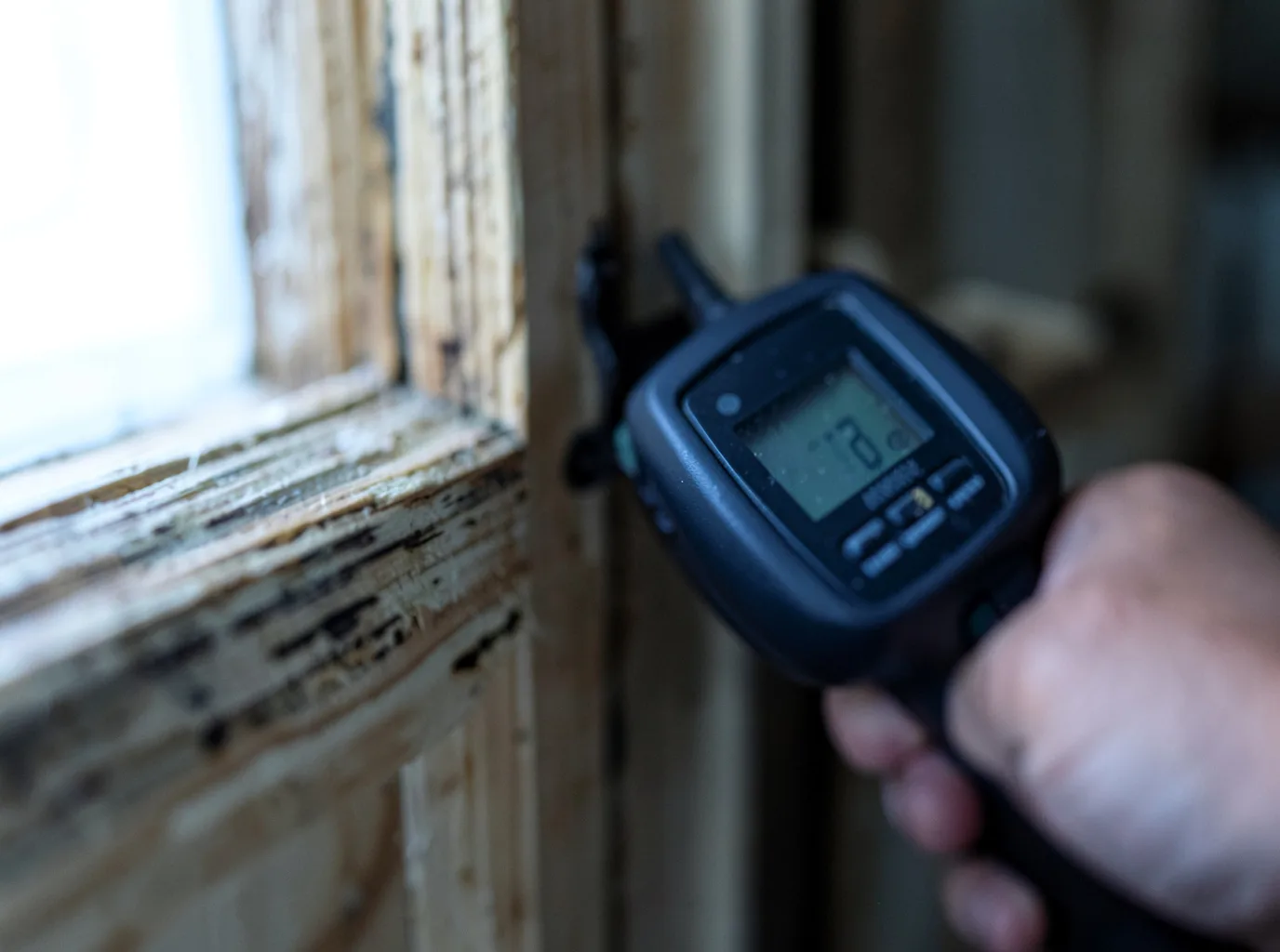 Moisture Inspection And Documentation in Belle Plaine, IA